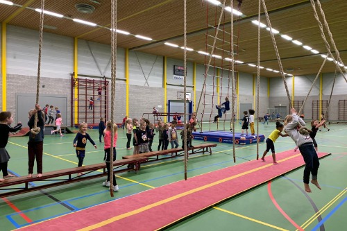 Apenkooi in de gymles