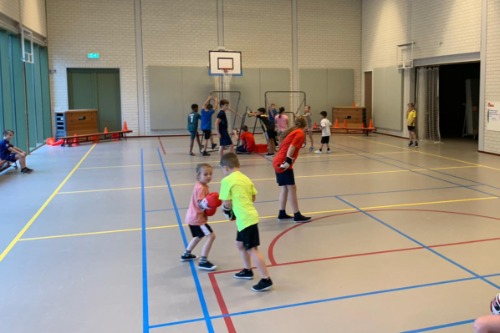 Boksende kinderen in gymzaal