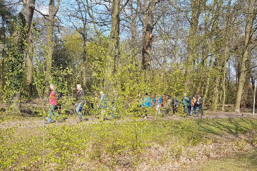 Deelnemers gezondheidswandeling in het bos.