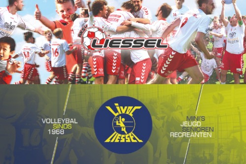 Logo livoc en rksv liessel