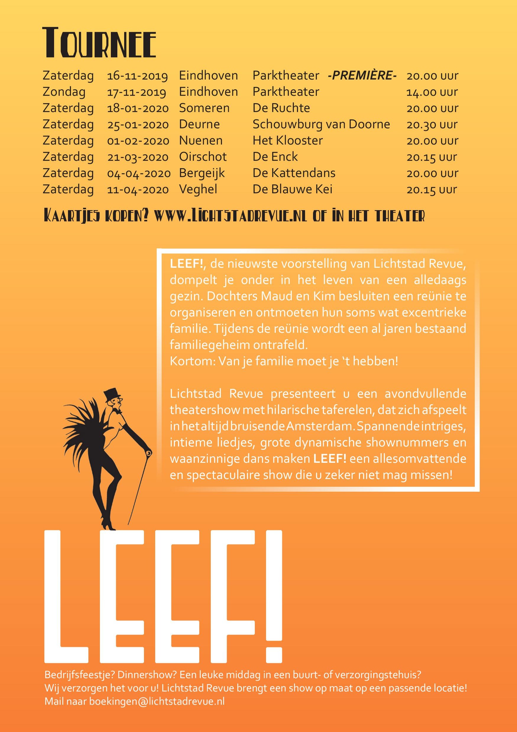 Download het PDF-document 'Flyer Lichtstad Revue'