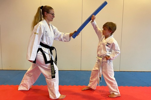 Taekwon-Do 