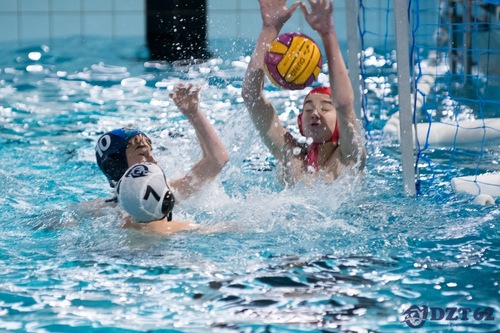 Waterpolo