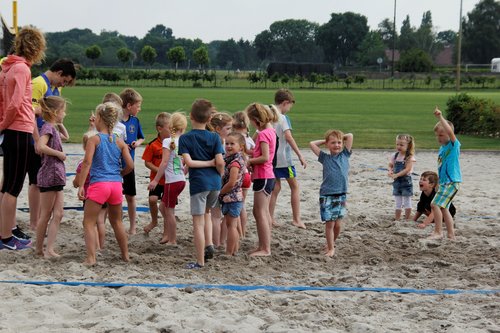 Volleyballen