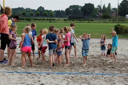 Volleybal